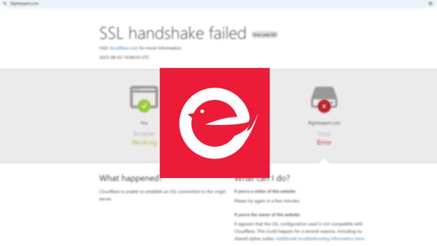 Flight Frenzy: Ticketing Platform Flight Expert in Turmoil as CEO Allegedly Flees