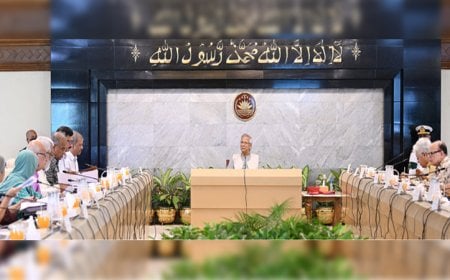 Telecom Transformation: Interim Government Approves Draft Licensing Policy 2025