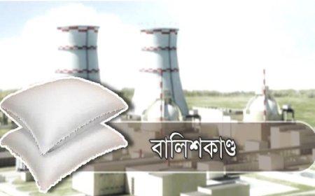 Public Works Engineers Penalized Over Rooppur Pillow Scandal