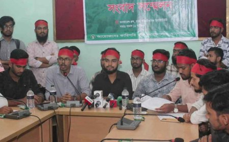 Diploma Defenders Demand Decision on Engineering Dispute