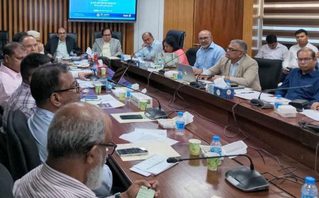 Digital Deficit Deters Land Services