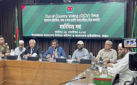 Postal Ballot Breakthrough: App for Expatriate Voting to Launch in November