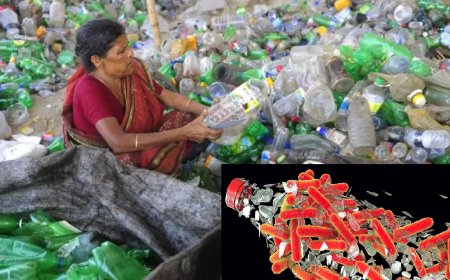 প্লাস্টিক বর্জ্য থেকে ওষুধ তৈরিতে ব্যবহৃত হচ্ছে ব্যাকটেরিয়া