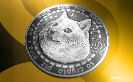 Meme-Coin Milestone: First U.S. ETF for Dogecoin Debuts