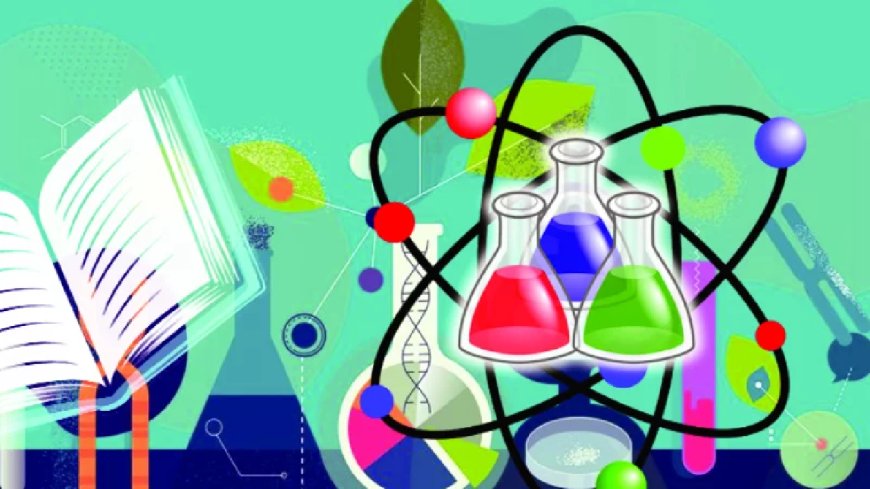 Primary Placement Plan: Bachelor’s in Science Boost in Quota