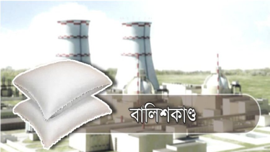 Public Works Engineers Penalized Over Rooppur Pillow Scandal
