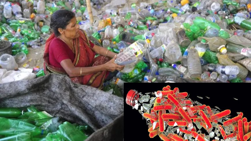 প্লাস্টিক বর্জ্য থেকে ওষুধ তৈরিতে ব্যবহৃত হচ্ছে ব্যাকটেরিয়া