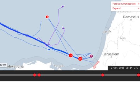Flotilla Faces Force: Gaza-Bound Vessels Press On