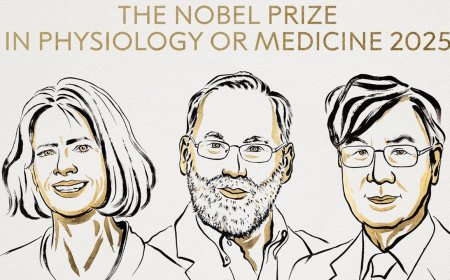 Nobel Nod for Immunity Insight: Three Scientists Win 2025 Medicine Prize