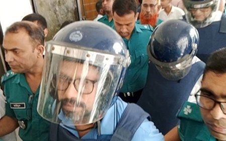 নির্বাচন করতে চান পলক