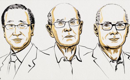Molecule Masters: Trio Wins Nobel in Chemistry for Metal-Organic Framework Breakthrough