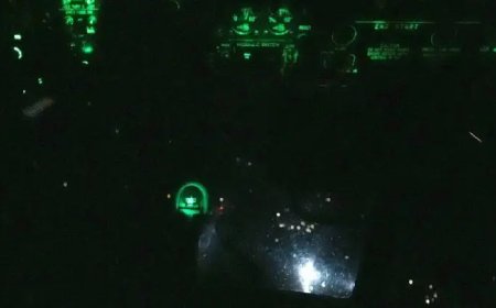 Airborne Alert: Bangladesh Air Force Assists in Hilsa Conservation Campaign