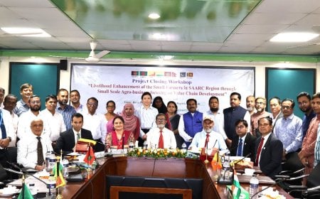 সার্ক কৃষি কেন্দ্রের প্রকল্পে ক্ষুদ্র কৃষকের জীবিকায় নতুন দিগন্ত