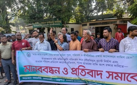 Farmers’ Fury Flares in Moulvibazar to Save Haor from Solar Project