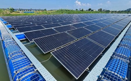 ওয়ালটনে ভাসমান সৌর বিদ্যুৎ প্ল্যান্ট