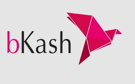 গত বছর থেকে বিকাশের মুনাফা বেড়েছে  ১৩১ শতাংশ