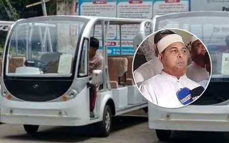 রাবিতে ১৫টি ই-কার দিচ্ছে রুয়া