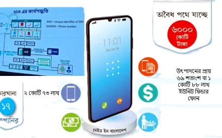 বিজয় দিবসে গ্রে না হোয়াইট; এনইআইআর না আনঅফিসিয়াল?