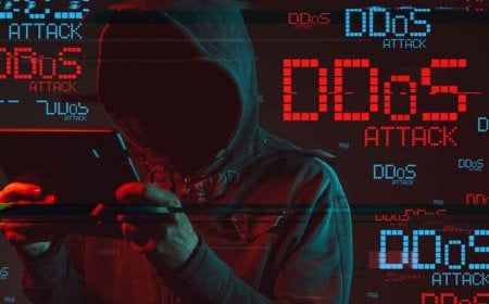 ডিডস্ হানায় প্রতিহিংসুক আইএসপিদের সতর্ক করলেন বিশেষ সহকারী