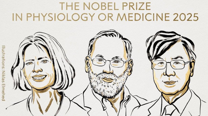 Nobel Nod for Immunity Insight: Three Scientists Win 2025 Medicine Prize