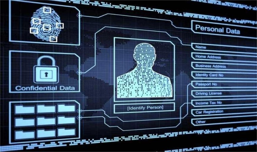 ব্যক্তিগত উপাত্ত সুরক্ষা অধ্যাদেশে বিন্যস্ত  ৪ ধরনের ব্যক্তিগত তথ্য