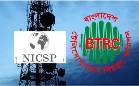 কারা হচ্ছে জাতীয় অবকাঠামো ও সংযোগ সেবা প্রদানকারী প্রতিষ্ঠান?