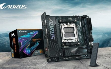 ছোট হলেও দানবীয় পারফরম্যান্স!