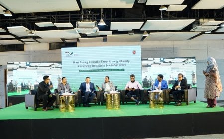 আইসিসিবি  ইনোভেশনস অ্যান্ড পার্টনারশিপস ফর সাসটেইনেবল এনার্জি ট্রানজিশন  সম্মেলন অনুষ্ঠিত