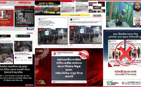 সংবেদনশীল ক্যাপশনে ৭ ভাইরাল গুজব