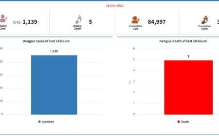ডেঙ্গুতে ১ দিনে আরও ৫ জনের মৃত্যু