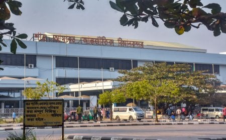 রানওয়েতে শেয়াল, ২৬ মিনিট আটকে ছিল ঢাকাগামী ফ্লাইট