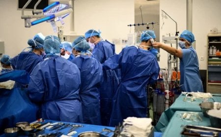 মানবদেহে অঙ্গ-প্রত্যঙ্গ সংযোজন অধ্যাদেশের গেজেট জারি