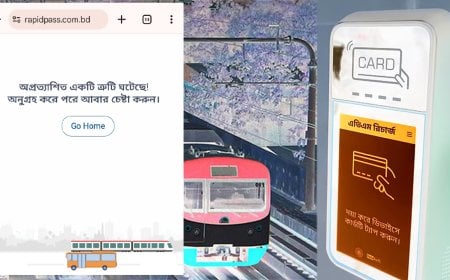 ৪ ঘণ্টায় ৭ লাখ হিট; অচল  র‌্যাপিডপাস