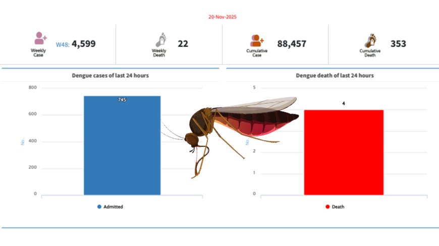 Four More Die of Dengue in 24 Hours; 745 Hospitalized Nationwide