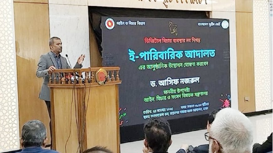 E-Family Facilitation: Digital Courts Debut