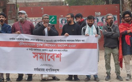 Citizens Allege Plot to Undermine Telecom Amendment Ordinance