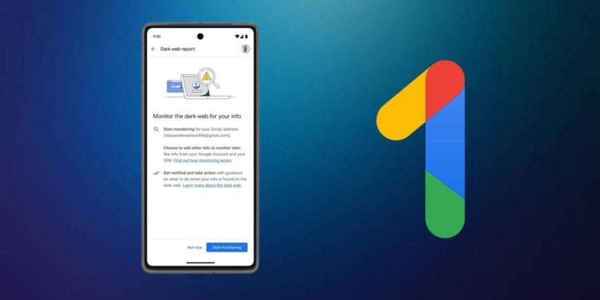 Google to Shut Down Dark Web Report Feature from February 16, 2026