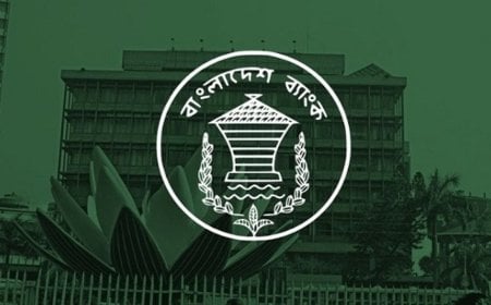 আইসিটি ও সফটওয়্যারসহ ৪৩ পণ্য ও সেবা রপ্তানি প্রণোদনার মেয়াদ বাড়ল