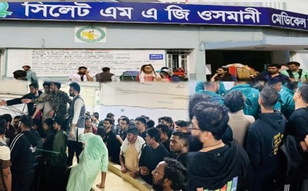 ওসমানী হাসপাতালে  ইন্টার্নদের কর্মবিরতি