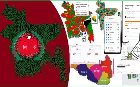 ডেটার আয়নায় ত্রয়োদশ জাতীয় নির্বাচন
