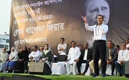 দেশে মনোরেল ও পেপ্যাল আনার পরিকল্পনা জানালেন তারেক রহমান