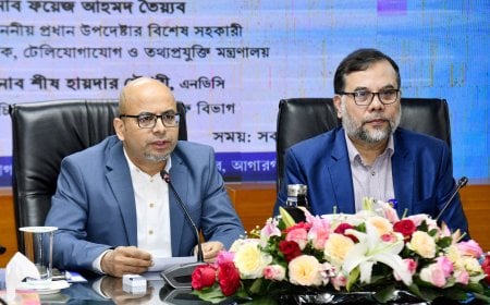 উপজেলা থেকেই ডিজিটাল অর্থনীতির ভিত্তি গড়তে হবে: ফয়েজ আহমদ তৈয়্যব 