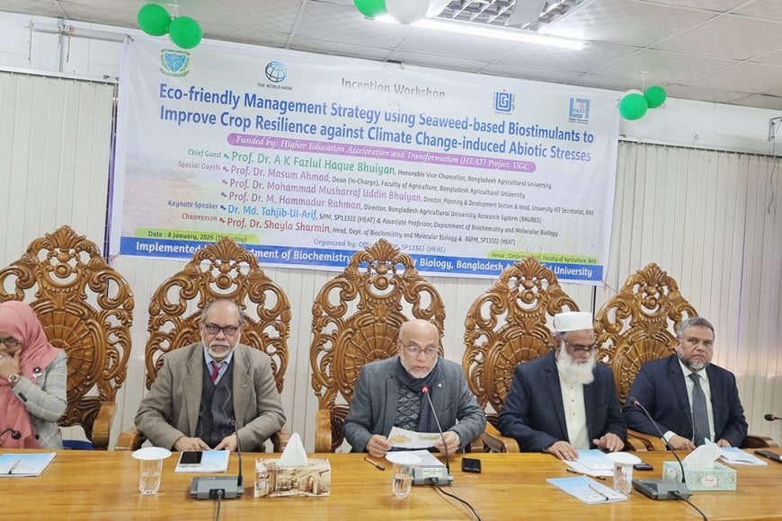 ফসলের সহনশীলতা বাড়াতে শৈবালভিত্তিক বায়োস্টিমুল্যান্ট নিয়ে গবেষণা