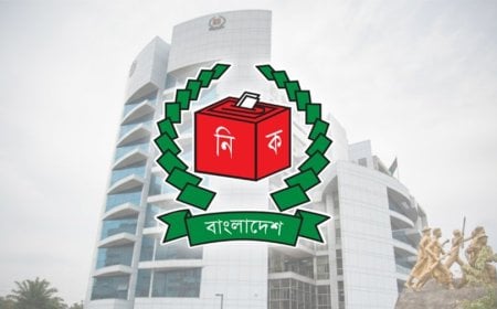 ইসি’ওয়েব থেকে সাংবাদিকদের ডাটা লিক ও হ্যাক করার কোনও সুযোগ নেই : নিক