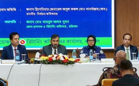 পোস্টাল ব্যালটে লাইভ ভেরিফিকেশনে কারচুপির সুযোগ নেই: ইসি সানাউল্লাহ