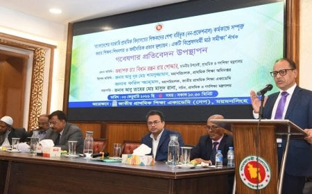 প্রতিটি বিদ্যালয়ে  ডিজিটাল অ্যাসিস্ট্যান্ট নিয়োগ ও একক ডিজিটাল পোর্টালের মাধ্যমে সব দাপ্তরিক কাজ সমন্বয়ের তাগিদ