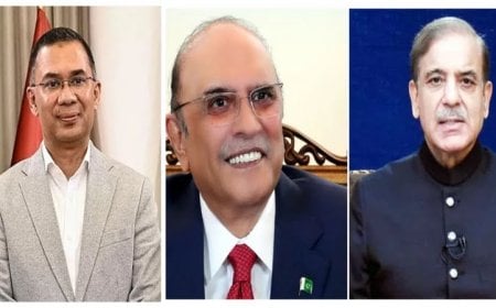 তারেক রহমানকে অভিনন্দন জানালেন পাকিস্তানের প্রেসিডেন্ট ও প্রধানমন্ত্রী