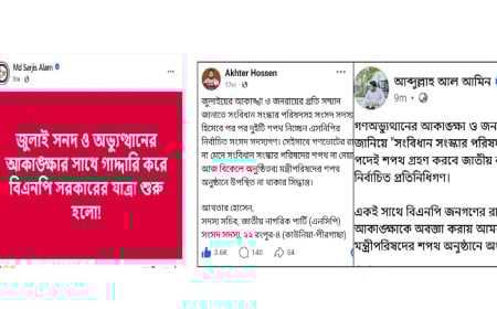 সারজিস লিখলেন ‘গাদ্দারি করলো বিএনপি’;  সালাহউদ্দিন বললেন ‘অক্ষরে পালন করবে বিএনপি’ 