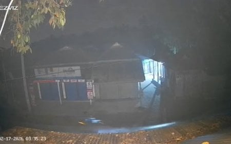 কুড়িগ্রামে সিসিটিভির ভিডিওতে ধরা পড়ল ‘কুকুর সদৃশ রোবট’