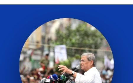 নিজের আসনের সমস্যা জানতে ওয়েবসাইট চালু করলেন মির্জা ফখরুল